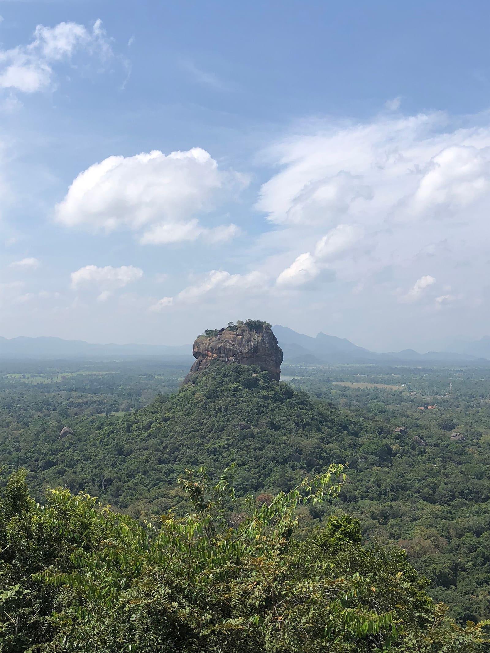 Tea country road featured in a 7-day Sri Lanka private tour itinerary