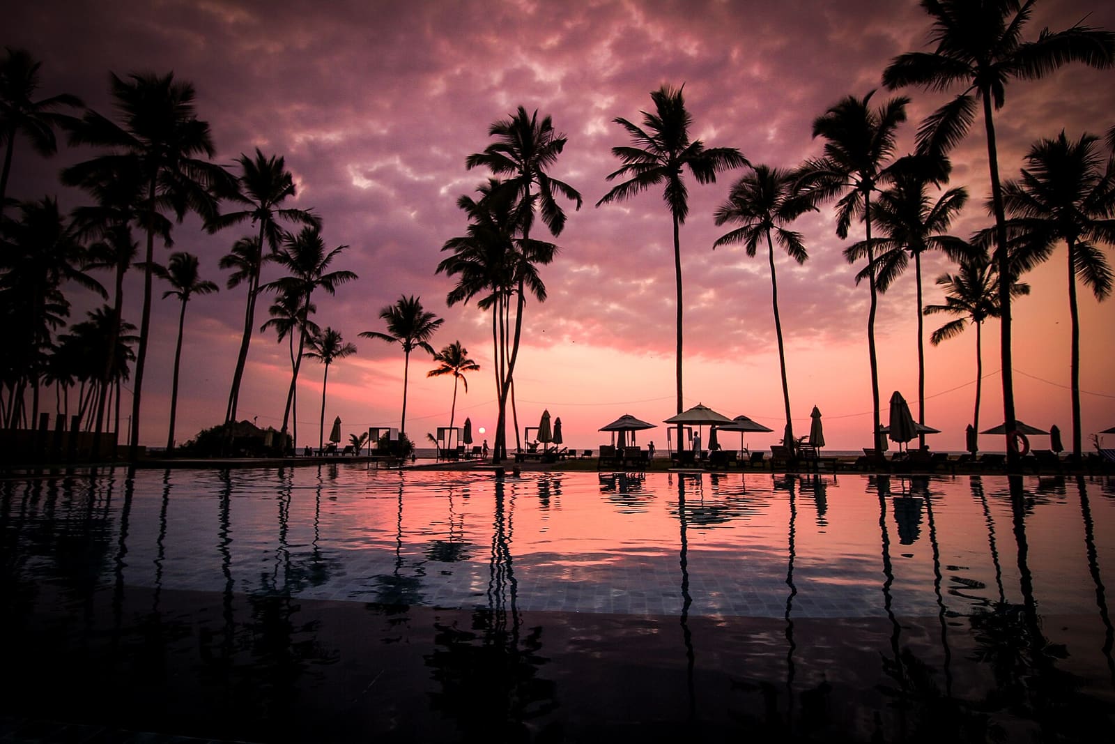 Iconic palm-lined Coconut Tree Hill in Mirissa on a 14-day complete island tour